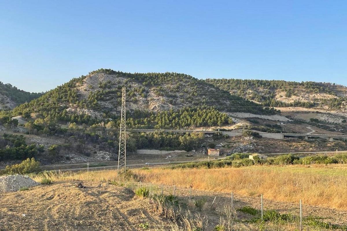 Mari-Luna سيكوليانا مارينا المظهر الخارجي الصورة